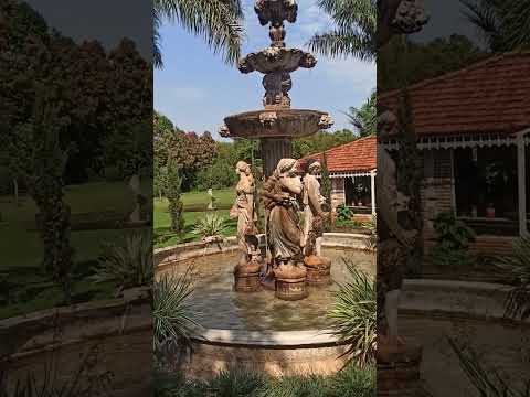 Interior de São Paulo. Bálsamo