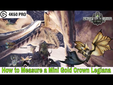 Monster Hunter: World - How to Measure a Mini Gold Crown Legiana Video