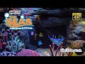 The Seas With Nemo And Friends On Ride Low Light Ultra HD POV EPCOT Walt Disney World 2021 03 03