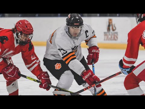 WPHS Tigers Varsity (Senior Year) 2021-2022 Daniel Cardozo Highlights