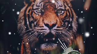 Download lagu #sundawiwitan Rajah siliwangi mp3