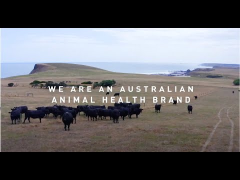 Meet Zamira Australia