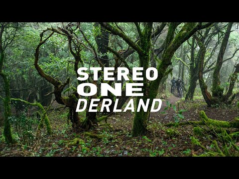 Stereo ONEderland - CUBE Bikes Official