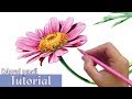 How to draw and shade a FLOWER in Colored Pencil How to draw and shade a FLOWER in Colored Pencil