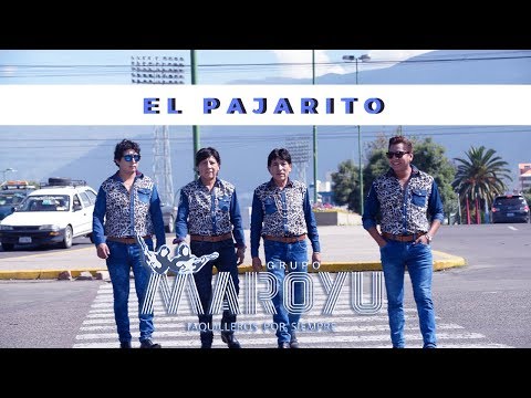 Maroyu ▶ Pajarito ✅ ♪ ♫