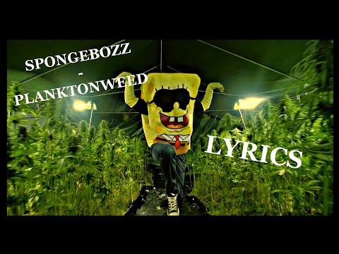 download lagu mp3 mp4 Spongebozz Planktonweed Lyrics, download lagu Spongebozz Planktonweed Lyrics gratis, unduh video klip Spongebozz Planktonweed Lyrics