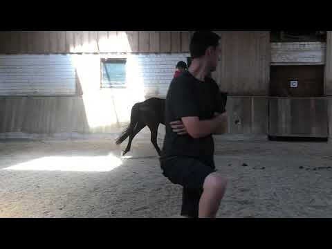 Faunus 07.2020 vor Abholung bei Nicole Hofmann Video 11 - IMG 1316