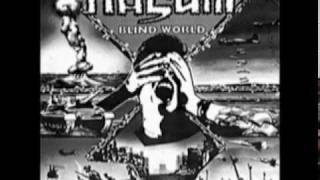 Covering Nasum: Blind world + Think