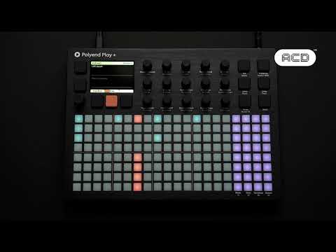 Polyend Play+