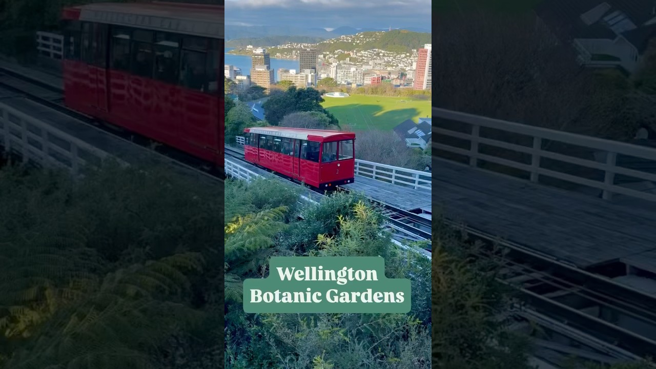 YouTube Short thumbnail