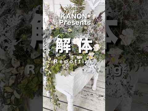 手押し車を飾る 金属製の庭 黄色のペイント サクラソウ