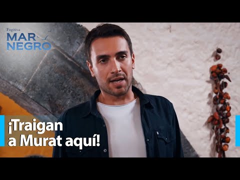 ¡Vamos a vivir todos juntos! - Mar Negro Capítulo 203 | Fugitiva