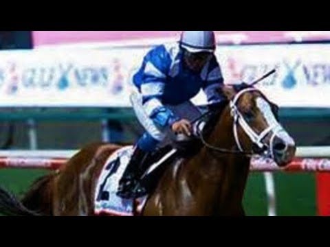 2009 Dubai Golden Shaheen G1 - Big City Man (大城漢子) - J.Verenzuela (香港馬幸運駿駒跑第九)