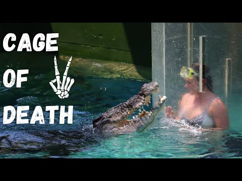 The Darwin Series - Cage of Death!