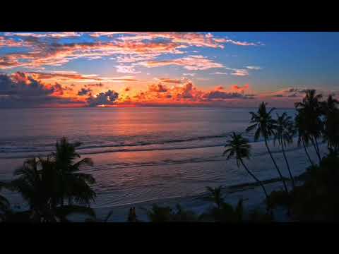 Background video sunset | Pemandangan Indah | Senja