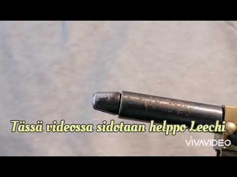 Perhonsidontaa|Helppo yleisperho:  Kuulapää Leech.