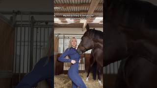 Ok Daristander 😂🐴 he’s just playful I guess #equestrian #horse #horseriding