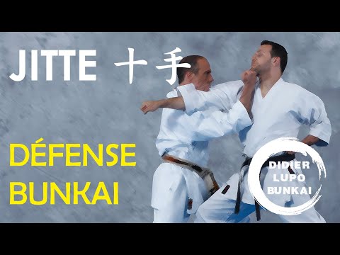 JITTE Défense et Bunkaï par Didier Lupo