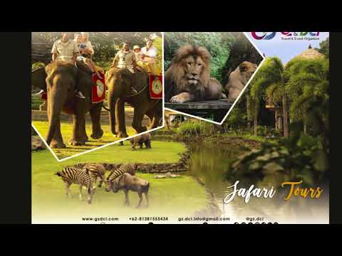 Gz Travel Indonesia