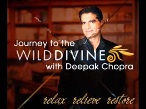 The Journey To Wild Divine PC