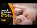 Curso Administração da Pequena Empresa Rural