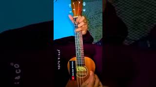 Download lagu Story wa widodari cover kentrung || 30 Detik #137 mp3 Download lagu Story wa widodari cover kentrung || 30 Detik #137 mp3