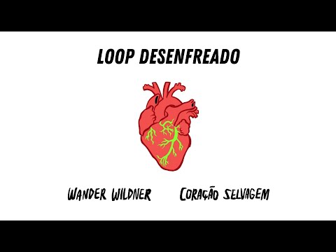 Trabalho Duro - Wander Wildner