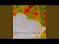 Sideways Forest (Live at Projektfest 1997) (Bonus Track)