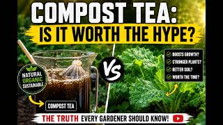 Is Compost Tea a Waste of Time?