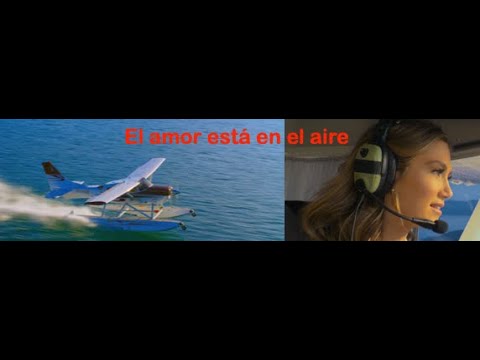 Love is in the air summary