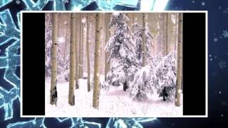 THE MANHATTAN TRANSFER - SNOWFALL - A VIDEO BY LEE ARBOREEN