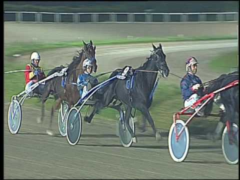 Trotto 23/10/2016 - 9ª corsa