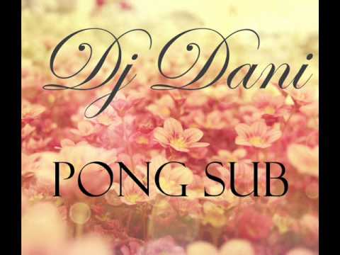 DJ Dani - Pong Sub