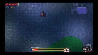 Enter the Gungeon The Stinger Is OP