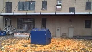 Laurel Downtown Adventures: City Museum + Pumpkins