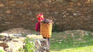 Village Women, Uttarakhand 