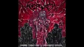 Nerlich - Dissolve The Bodies