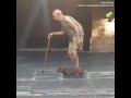 Loyal Dog walks slowly with elderly owner
