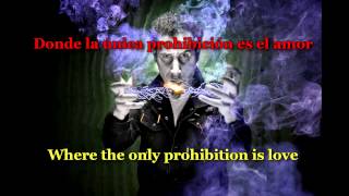 Serj Tankian - Butterfly (Sub. Español-English)