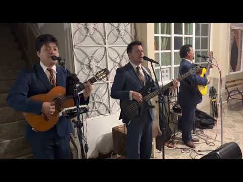 Trío Los Semejantes - Mis Flores Negras