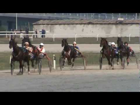 Београд трка "Мистерија" Октобар четрнаести 2012 2200 гума