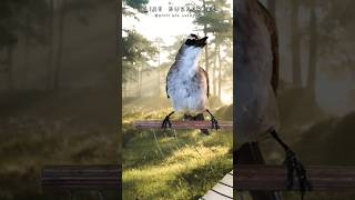 Download lagu TRUCUKAN BUNYI NGEKEK#terucukangacor mp3