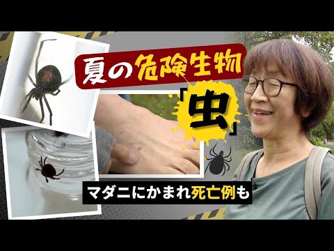 マダニによる危険 – RKI がドイツに新たな危険地域を追加