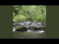 Lugna Rum
