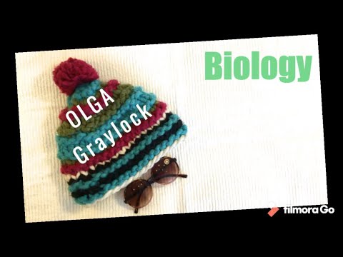 09 Q11 Die Prozessierung der mRNS