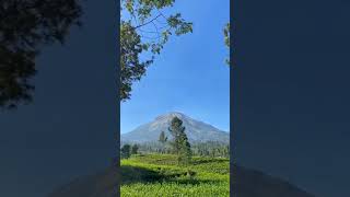 Download lagu Dudy oris/laksana surgaku/yovie n nuno/story wa/wonosobo keren/kebun teh bedakah mp3