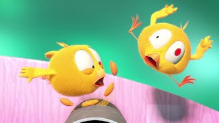 Chicky the acrobat | Where's Chicky?  | Cartoon Collection in English for Kids | New episodes