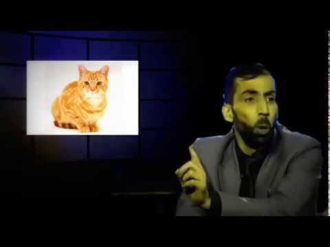 آصف جلالی قصه موش و پشک