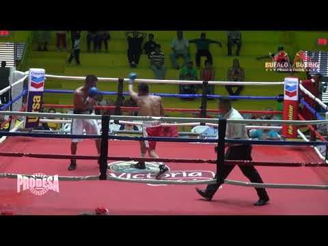 Hermogenes Elizabeth Castillo VS Alexander Taylor - Bufalo Boxing Promotions