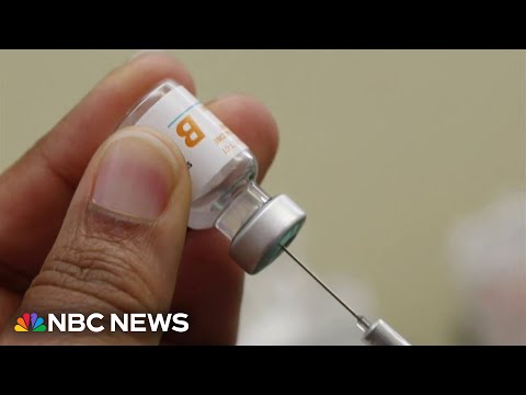 CDC advisory panel delays vote on hepatitis B vaccine